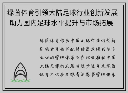 绿茵体育引领大陆足球行业创新发展 助力国内足球水平提升与市场拓展
